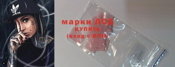 шишки Белоозёрский