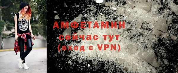 шишки Белоозёрский