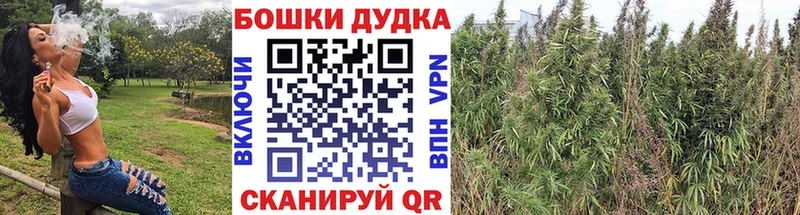 купить  цена  Усолье  Каннабис ГИДРОПОН 